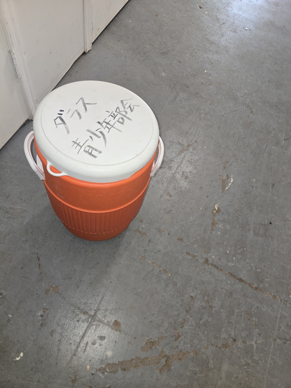 Orange and White Insulated Cooler Seat -